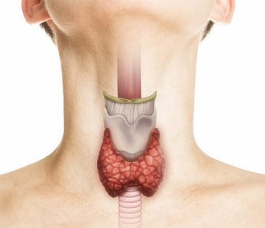 Gallbladder Stone Treatment in Kolathur